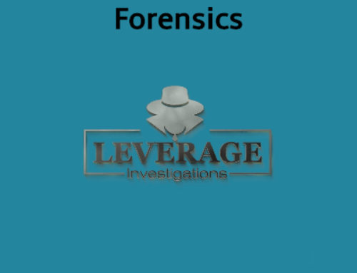 Vehicle Forensic Services